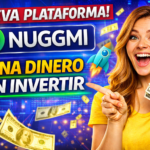 nuggmi app