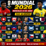 partidos