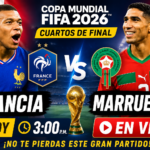 partidazoo
